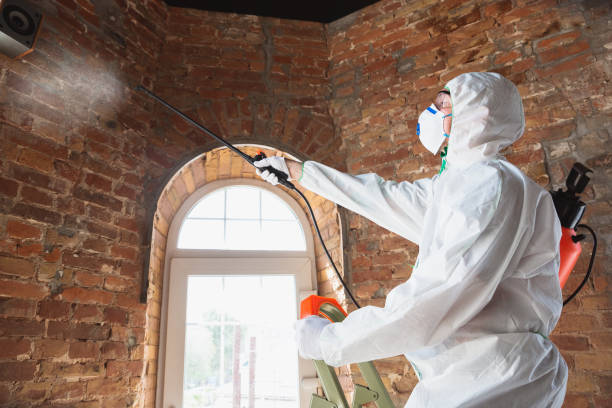 Best Commercial Mold Inspection in Diablo Grande, CA